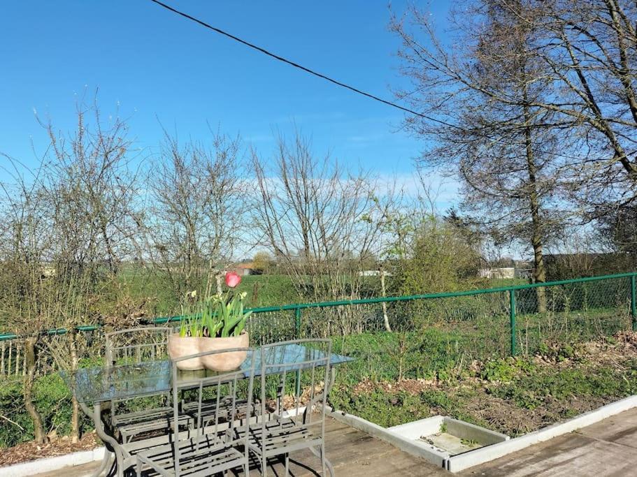 Gite Rural La Ferme Du Semeur-Zaaiershof Lessines Exteriör bild