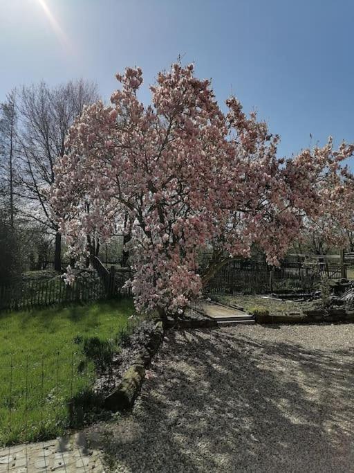 Gite Rural La Ferme Du Semeur-Zaaiershof Lessines Exteriör bild