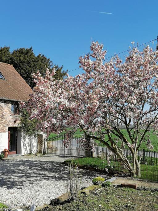 Gite Rural La Ferme Du Semeur-Zaaiershof Lessines Exteriör bild